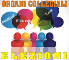 ELEZ-C-ORG-COLL